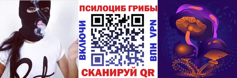 darknet телеграм  Лобня  Псилоцибиновые грибы мицелий 