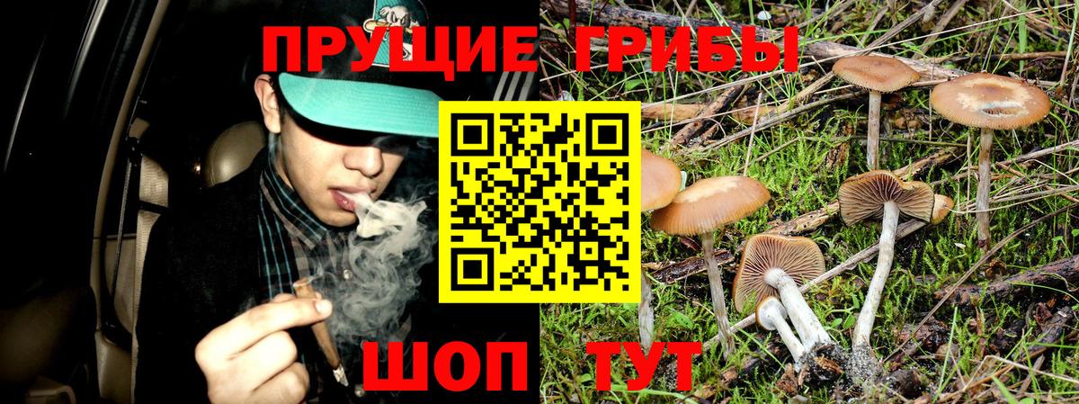 Галлюциногенные грибы мицелий  Галлюциногенные грибы GOLDEN TEACHER  Лобня  Вход с VPN 