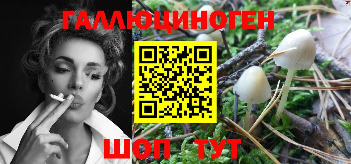 Галлюциногенные грибы мухоморы Лобня